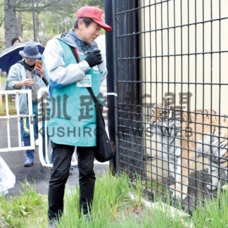 ココアありがとう　釧路市動物園のアムールトラ　17歳の生涯に幕【釧路市】_4(2025-06-21)