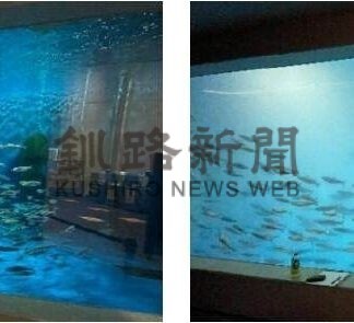 群来、可視化し再現　北大など【札幌】(2025-06-13)