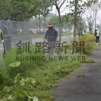 鳥取公園通歩道緑地帯で草刈り　本田組【釧路市】(2025-06-26)