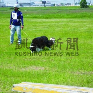 鋭い嗅覚、捜査に協力　道警釧本が嘱託犬審査会【釧路市】(2025-07-02)