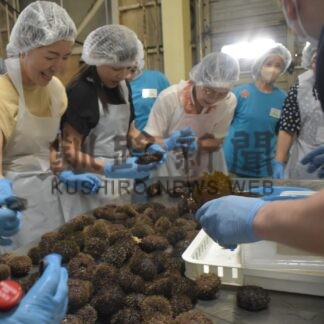 大分の女性部員と交流羅臼町商工会　ウニ殻むき体験も【羅臼町】(2025-07-02)