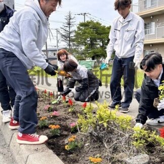 歩道植樹帯に職員が４００株　渡辺建設工業【根室市】(2025-07-02)