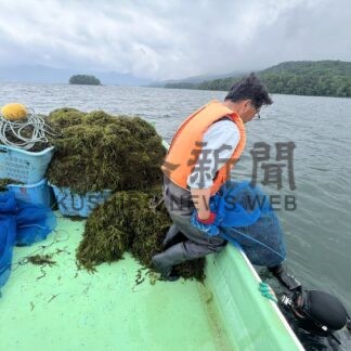 水草除去試験スタート　阿寒湖、マリモ修復、再生へ【釧路市】(2025-07-03)
