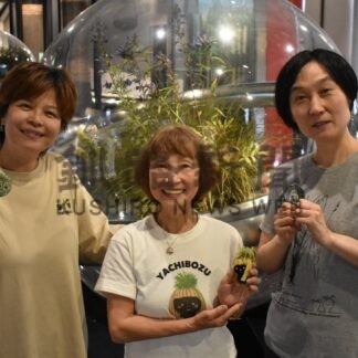 ヤチボウズグッズ販売　釧路市立博物館・おたのしけギャラリー【釧路市】(2025-07-08)