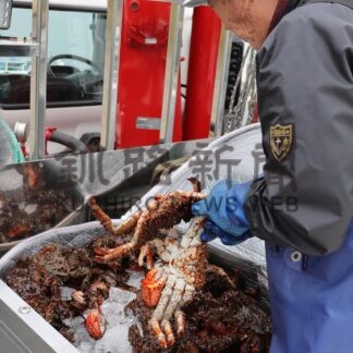 花咲ガニ漁解禁　根室で約１２㌧初水揚げ【根室市】(2025-07-12)