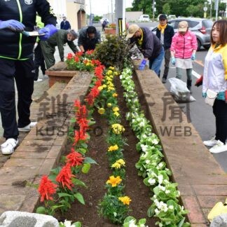 ベゴニアやサルビア、道道沿い色鮮やかに　団体ら植栽【根室市】(2025-07-13)