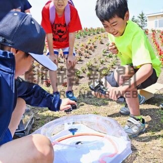 ベイブレード子供ら楽しむ　ピリカの泉まつり【標津町】(2025-07-13)