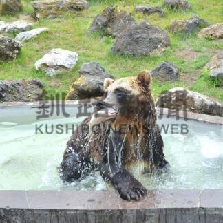 カラフトマス、動物園ヒグマに　ニッコー寄贈【釧路市】(2025-07-22)