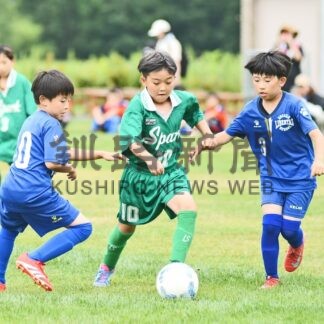 厚岸遠矢エスポワールＶ　鶴居でサッカー交流大会【鶴居】(2025-07-28)
