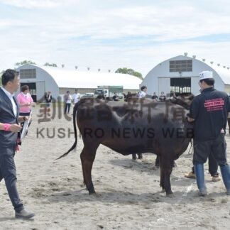 釧路で和牛の共進会　発育や品位など競う【釧路市】(2025-07-28)
