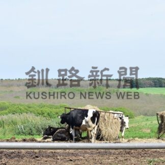 マイマイガ根室も大量発生　牧場で食害、灰褐色の森に【根室市】_1(2025-07-29)