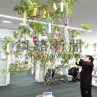 七夕用のヤナギ設置　釧路市中央図書館、来館者ら短冊つるす【釧路市】(2025-08-01)