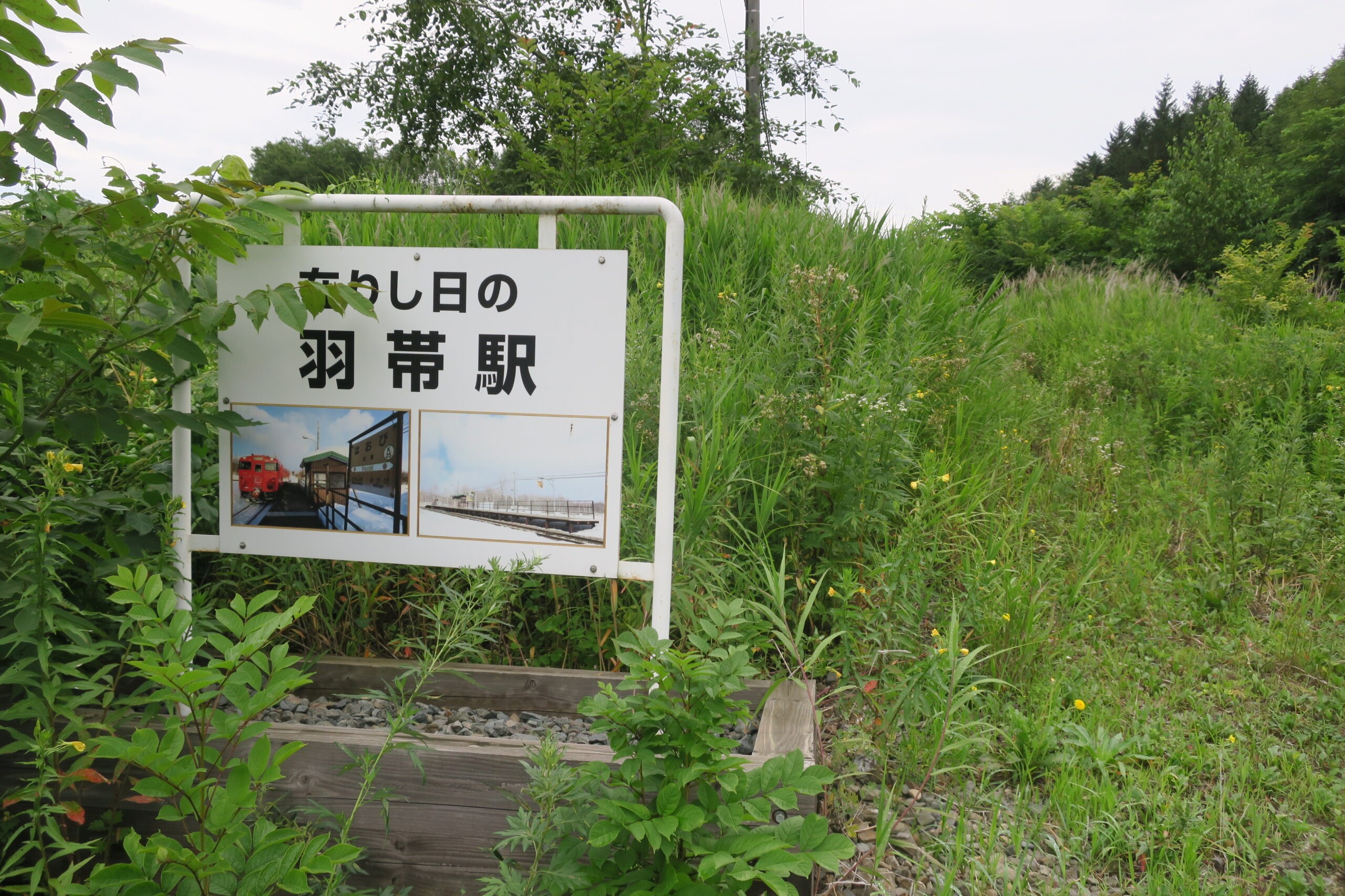 御影・十勝清水・新得そして羽帯 – 釧路新聞電子版