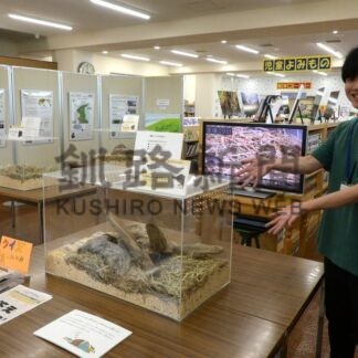 トガリネズミ 実物見て　世界最小哺乳類、白糠で道内４種展示【白糠町】_1(2025-08-06)