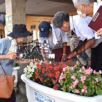 特色や工夫など採点　市花壇コンクール審査始まる【釧路市】(2025-08-07)