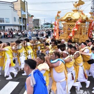 金色の大みこし市内巡幸　根室金刀比羅神社例大祭【根室市】(2025-08-10)