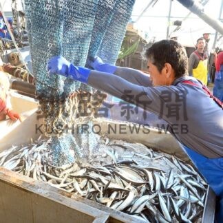 サンマ厚岸で初水揚げ　棒受け網漁４７㌧、「近年にない大きさ」【厚岸町】(2025-08-17)