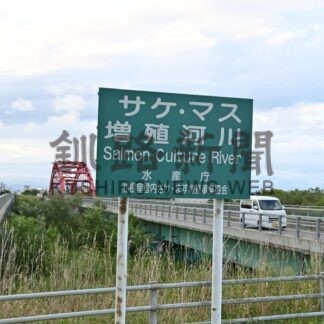 異例のサケ釣り自粛呼び掛け　来月１～７日、来遊数５割減の見通し　根室管内の増殖事業協会(2025-08-25)