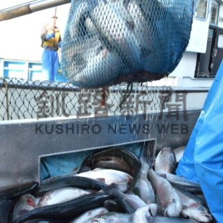 養殖トラウトサーモン１．８㌧今季初水揚げ【釧路市】(2025-08-29)
