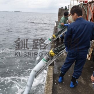 マツカワ稚魚を放流　根室管内栽培漁業推進協、２カ所で２万２０００匹【根室市】(2025-08-30)