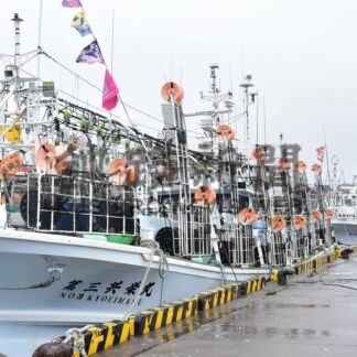 イカ不漁予想も今季最多　花咲港に５２隻水揚げ【根室市】(2025-08-31)