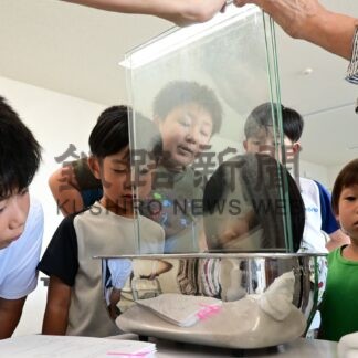 水の膜で実験　仮設サークル科学教室【根室市】(2025-09-13)