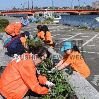 花壇整備サルビア２００株　リバーサイド植栽事業、釧商女性会【釧路市】(2025-09-18)