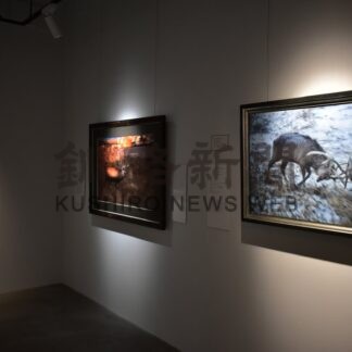 自然の中の野生動物捉える　帯広の写真家古川さん作品展【釧路市】(2025-09-30)