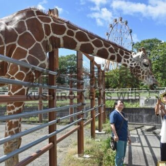 釧根味覚が花盛り　各地で祭り、食欲の秋満喫【釧路市】_5(2025-10-06)