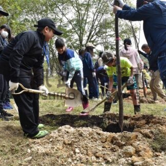 エゾヤマザクラ大きくなれ　乳呑自然公園で小学生４本植樹【白糠町】(2025-10-09)