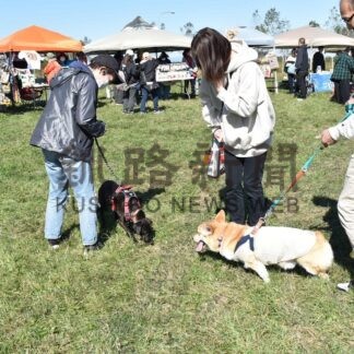 ペットのしつけやマナー学ぶ　きょうまでフェス【釧路市】(2025-10-12)