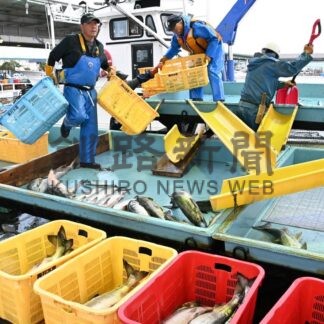 秋サケ記録的不漁㊦　今後の漁にも暗い影【釧路市】(2025-10-15)