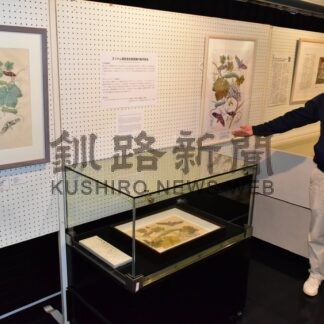 細密な昆虫画楽しんで　釧路市立博物館、図譜日本語復刻版出版記念　ドイツ学者、メーリアン企画展【釧路市】(2025-10-19)