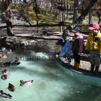 餌やり掃除、飼育体験　山花小中、児童が動物園で学習【釧路市】(2025-10-25)