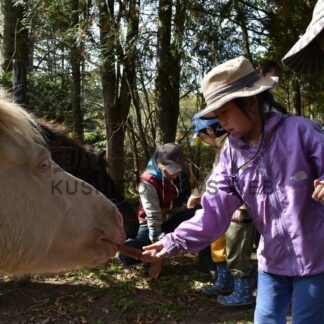育てたニンジンお裾分け　みどり認定こども園　地元牧場の馬に給餌【標茶町】(2025-10-28)