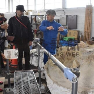 市民に１００万年前のクジラ化石を公開　道教大釧路校【釧路市】(2025-11-03)