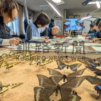 精緻な昆虫画に挑戦　釧路市立博物館で体験講座【釧路市】(2025-11-04)