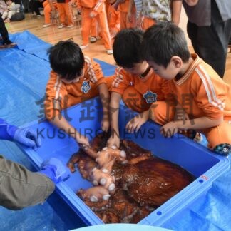 園児らタコの漁獲や魚体について学ぶ　市漁協青年部が出前授業【根室市】(2025-11-07)