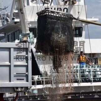 マイワシ 漁獲量１５万７３２１㌧　道東沖巻き網漁終える　７年ぶり２０万㌧割り込む【釧路市】(2025-11-08)
