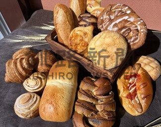 旧五十嵐家住宅きょうとあす公開　初の食とのコラボイベント【釧路市】(2025-11-08)