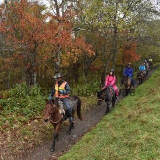 乗馬で釧路湿原満喫　鶴居どさんこ牧場創業３０周年記念、２泊３日の旅【鶴居村】(2025-11-09)