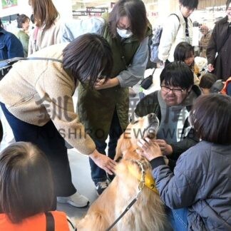 セラピードッグ来場者癒やす　ふれあい会、道東から１１頭参加【釧路市】(2025-11-14)