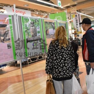 動物園５０年の歩み紹介　３０日までカレンダー展【釧路市】(2025-11-21)