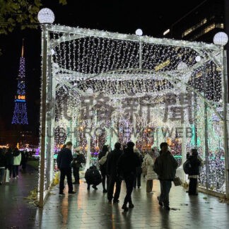 光の幻想風景、観光客ら魅了　札幌でイルミ点灯【札幌市】(2025-11-22)
