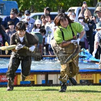 サケ不漁 国や道の助け必要　人工ふ化放流が岐路【標津町】_1(2025-11-24)