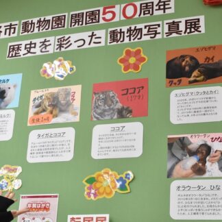 郵便局東部会の各局で動物写真展【釧路市】(2025-11-25)