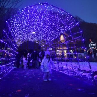 光のトンネル彩り　別保公園にＸマスイルミ【釧路町】(2025-12-07)
