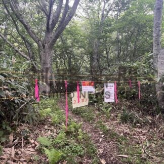 ２０２５記者の目④　羅臼岳ヒグマ人身事故　距離感測る日々続く(2025-12-27)