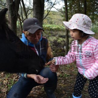 【元旦号第3部】馬を核に地域づくり 文化や歴史継承 郷土愛育む【標茶町】_1(2026-01-01)