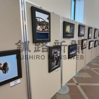 二科会写真部道支部展始まる【根室市】(2026-01-18)